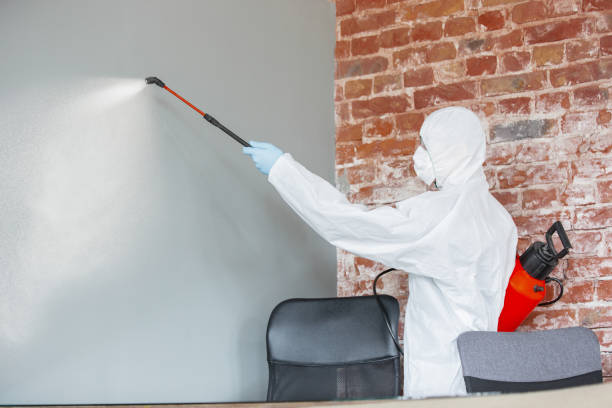 Best Mold Remediation for Rental Properties  in Strathmore, NJ