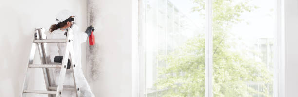 Best Asbestos and Lead Testing During Mold Inspection  in Strathmore, NJ
